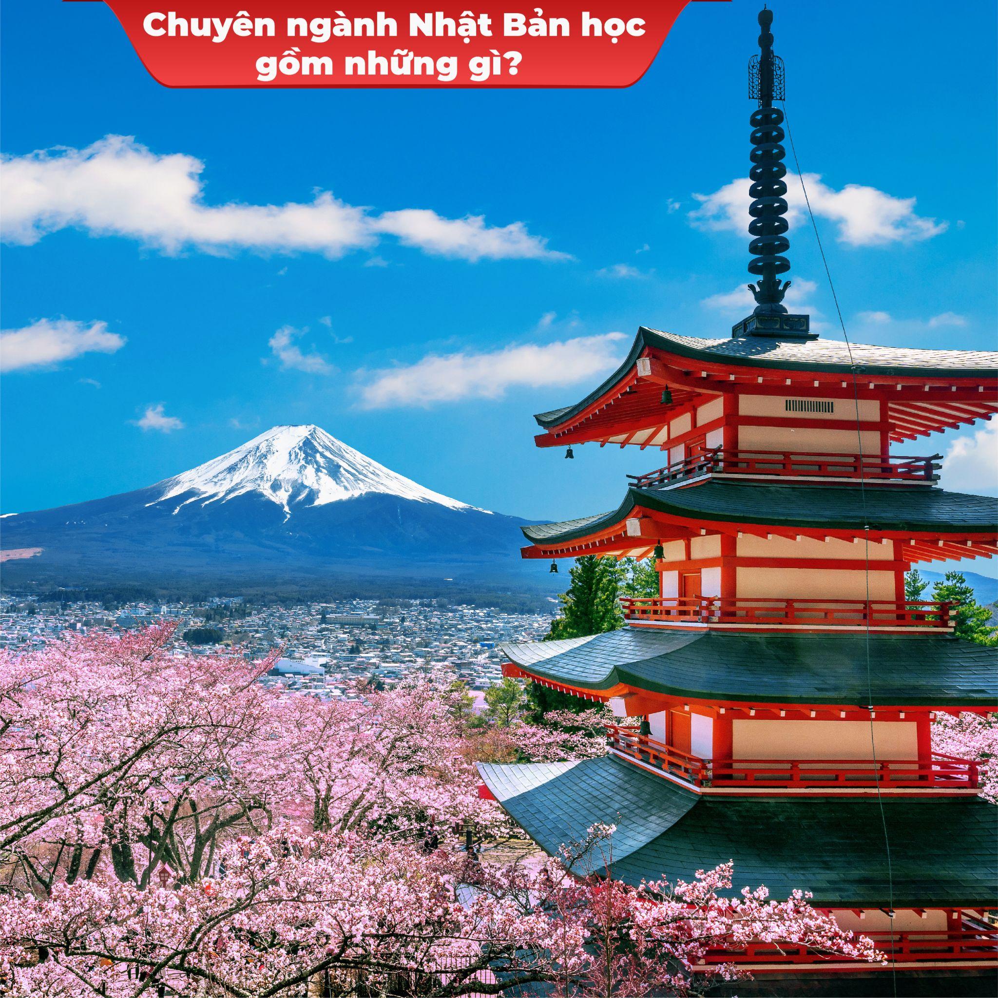 chuyen-nganh-nhat-ban-hoc